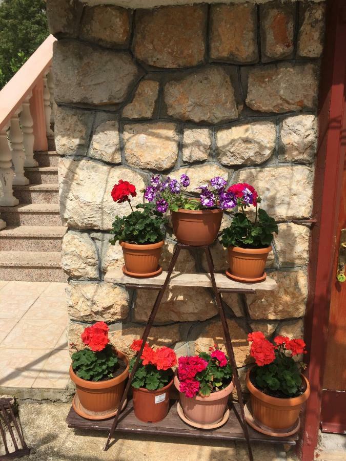 Apartment Ante&Dijana Starigrad Paklenica Buitenkant foto